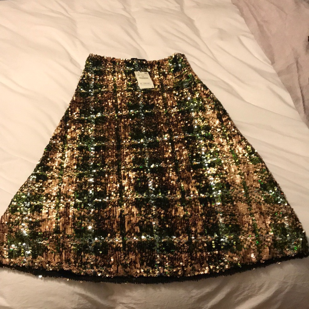 Zara sequin skirt